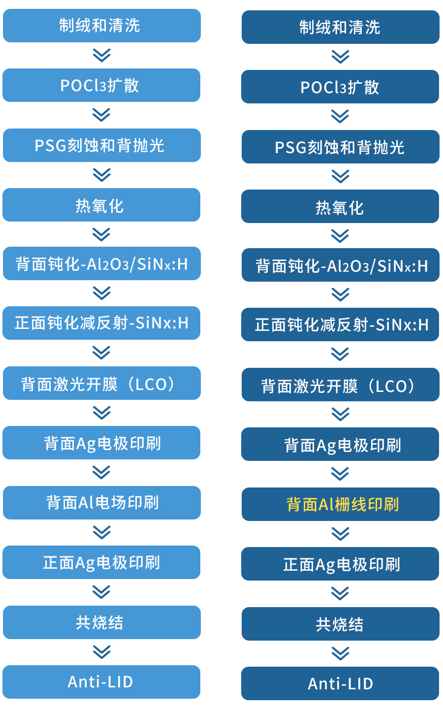 ��˫��P-PERC��ع�����������