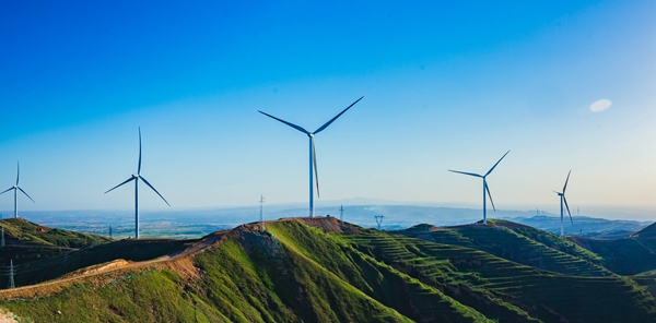 ���������ڷ�������װ���е�Ӧ��